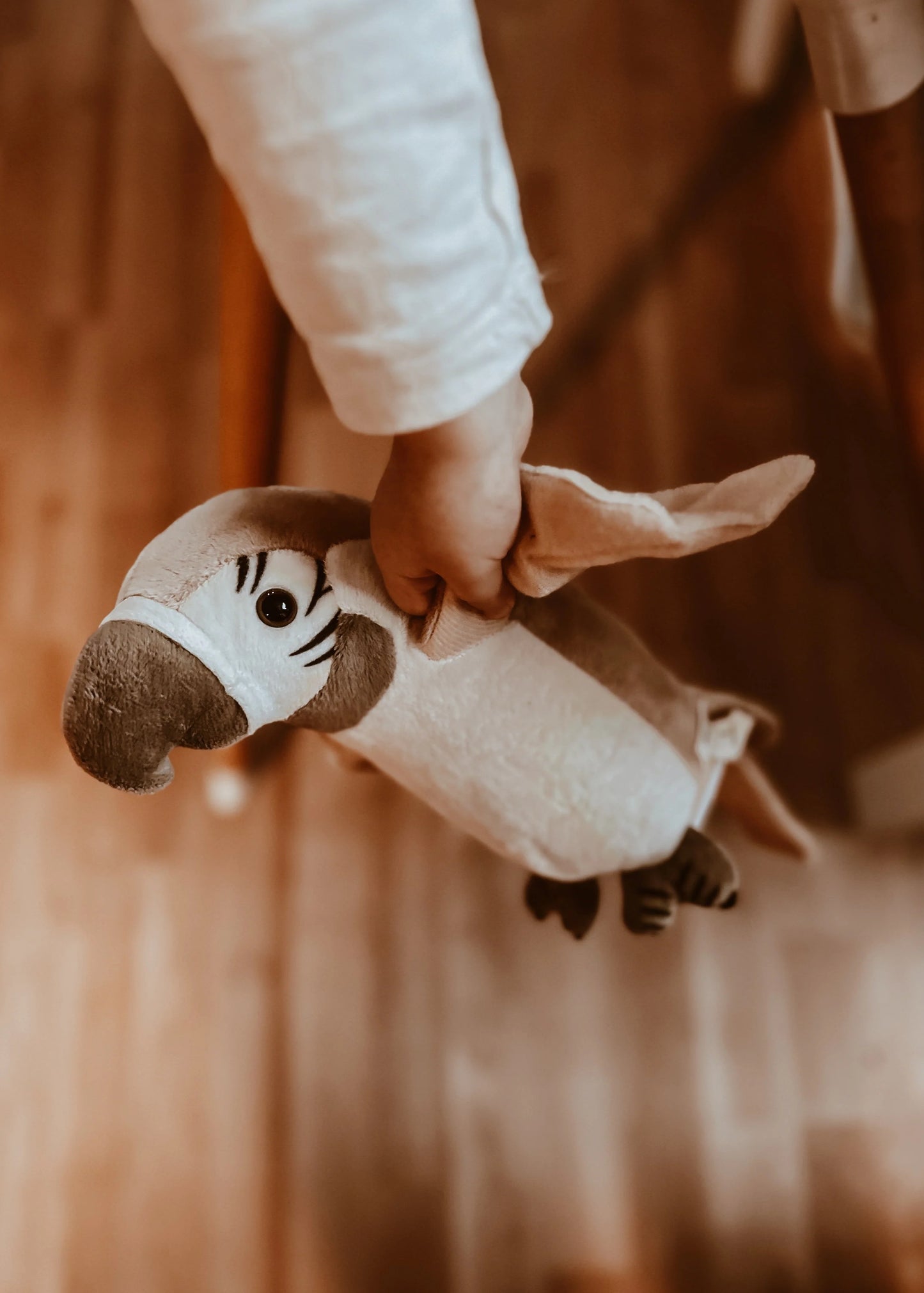 Runājošais papagailis